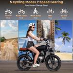 T73 Retro Electric Bike for Adults - 1000W