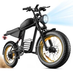 Feifayzx 1600W Electric Bike for Adults, 35MPH