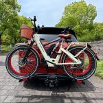 Terriplaze E-Bike Hitch Rack with Ramp