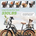EUYBIKE 20" Fat Tire Electric Bike for Adults