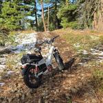 MOHEGIA 20" Fat Tire E-Bike for All Terrain