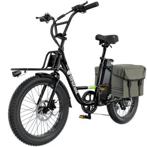Isinwheel U7 1000W Electric Bike with Dual Rack