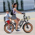 EUYBIKE 20" Fat Tire Electric Bike for Adults