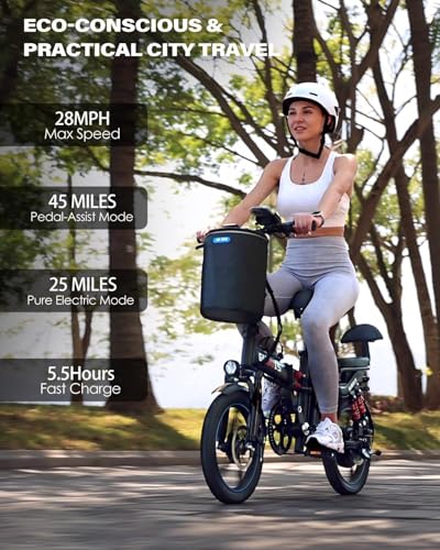 Rakowe 750W Folding Electric Bike 2 Seater