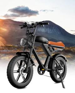 Besintu MOVCAN V30 Fat Tire Electric Bike