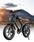 Besintu MOVCAN V30 Fat Tire Electric Bike