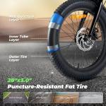 Isinwheel U7 1000W Electric Bike with Dual Rack