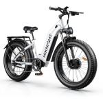 Dual Motor Electric Bike, 3000W Peak Power