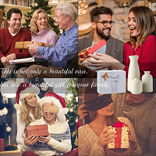 Beige Ceramic Vase Set of 3 for Decor