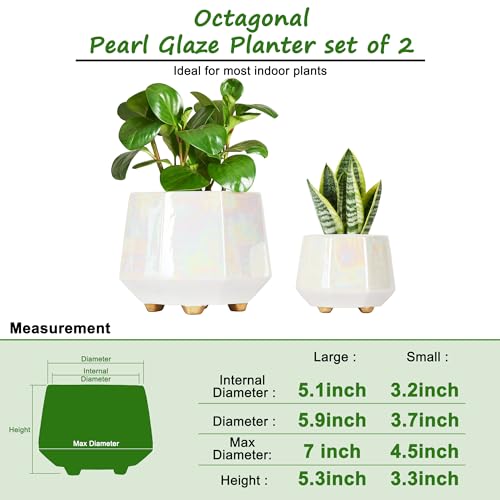 Modern Ceramic Planters with Drainage Hole Set