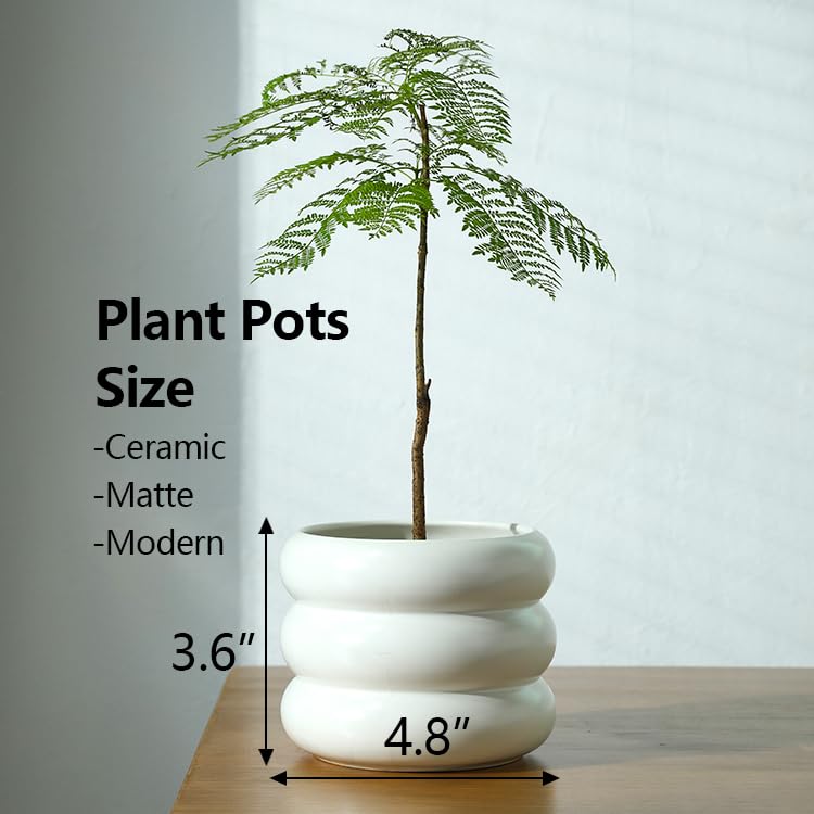 Stylish 4.8 Inch White Ceramic Plant Pot