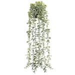 Eucalyptus Hanging Plant for Modern Minimalist Decor