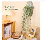 Eucalyptus Hanging Plant for Modern Minimalist Decor