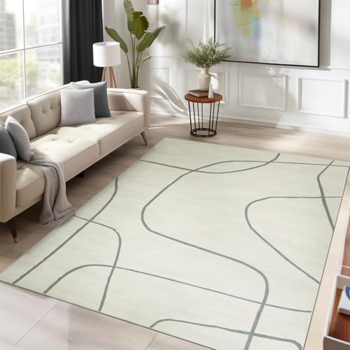 Jinchan Washable Abstract Gray Minimalist Rug