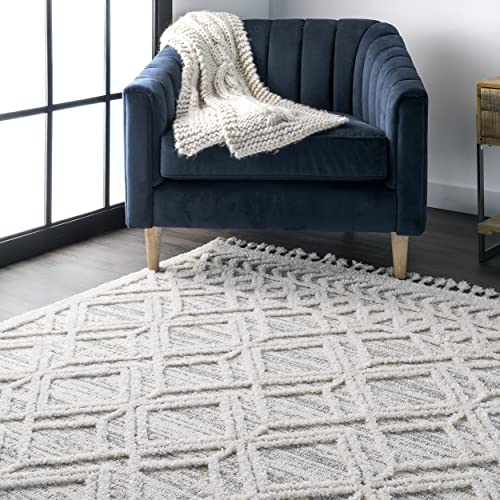 nuLOOM Ansley Boho Plush Gray Area Rug