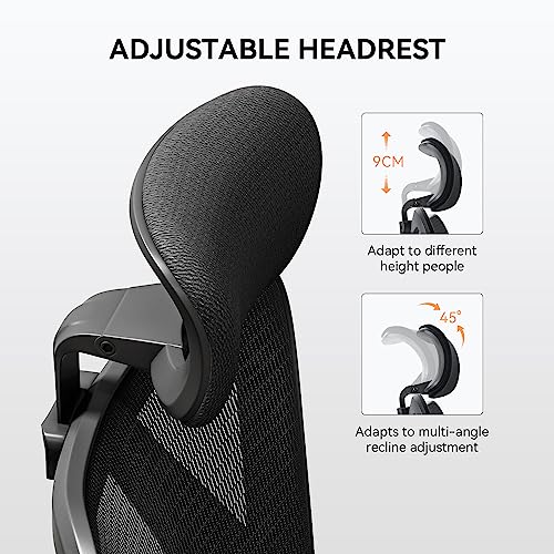 Ergonomic Adjustable Desk Chair with Armrest and Support