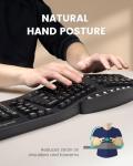 Ergonomic Split Keyboard with Palm Rest and Hotkeys