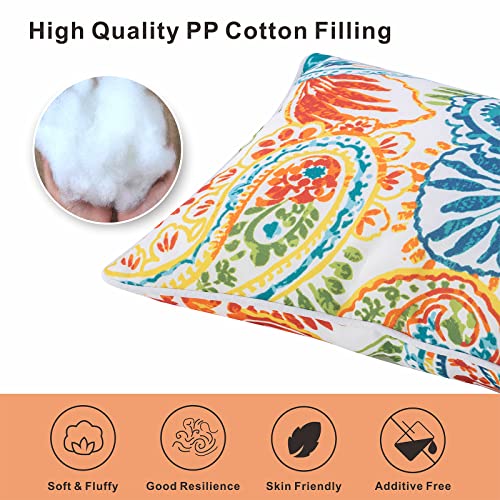 2-Pack Outdoor Waterproof Lumbar Pillows, Paisley Print