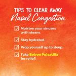 Boiron Pulsatilla 30C for Cold Relief - 3 Count