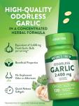 Nature's Truth Odorless Garlic Softgels - 120 Count