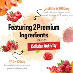 Joiavvy Urolithin A Softgels for Energy Boost