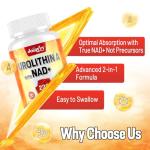 Joiavvy Urolithin A Softgels for Energy Boost