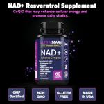 Premium Multivitamin for Daily Wellness Support