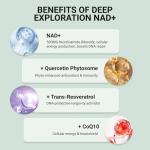 Daily Multivitamin for Overall Wellness