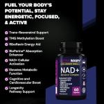 Premium Multivitamin for Daily Wellness Support