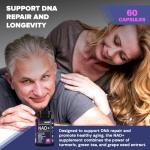 Premium Multivitamin for Daily Wellness Support