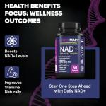 Premium Multivitamin for Daily Wellness Support