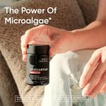 Daily Essential Vitamins for Overall Wellness