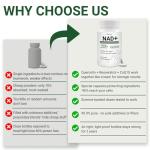 Daily Multivitamin for Overall Wellness