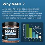 NAD+ Supplement for Energy & Anti-Aging - 90 Caps