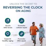 NAD+ Supplement for Energy & Anti-Aging - 90 Caps