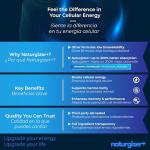 Liposomal NAD+ Supplement for Healthy Aging - 120 Capsules