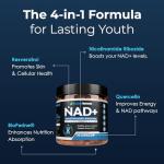 NAD+ Supplement for Energy & Anti-Aging - 90 Caps