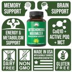 Mitochondria Maximizer with CoQ10 and PQQ