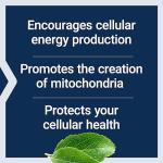 Life Extension Mitochondrial Energy Optimizer Capsules