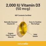 NatureWise Vitamin D3 2000iu for Immune Support