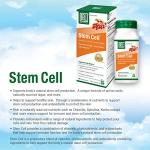Bell Stem Cell Supplements for Cell Renewal - 60 Capsules