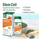 Bell Stem Cell Supplements for Cell Renewal - 60 Capsules