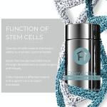 StemActive Stem Cell Support Supplement - 60 Capsules