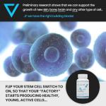 Stem Cell Renew | Boost Your Stem Cell Levels
