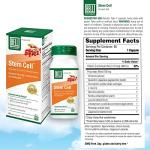 Bell Stem Cell Supplements for Cell Renewal - 60 Capsules