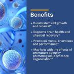 Renewal Blend Stem Cell Supplements for Healthy Aging
