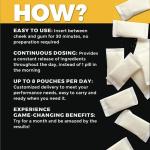 Alpha Nootropic Pouches Mint - 15 Pouches Each