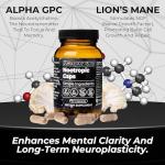 Santa Cruz Paleo Nootropic Capsules for Focus & Energy