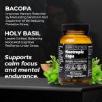 Santa Cruz Paleo Nootropic Capsules for Focus & Energy