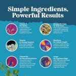 Brain Booster Supplement for Memory and Focus